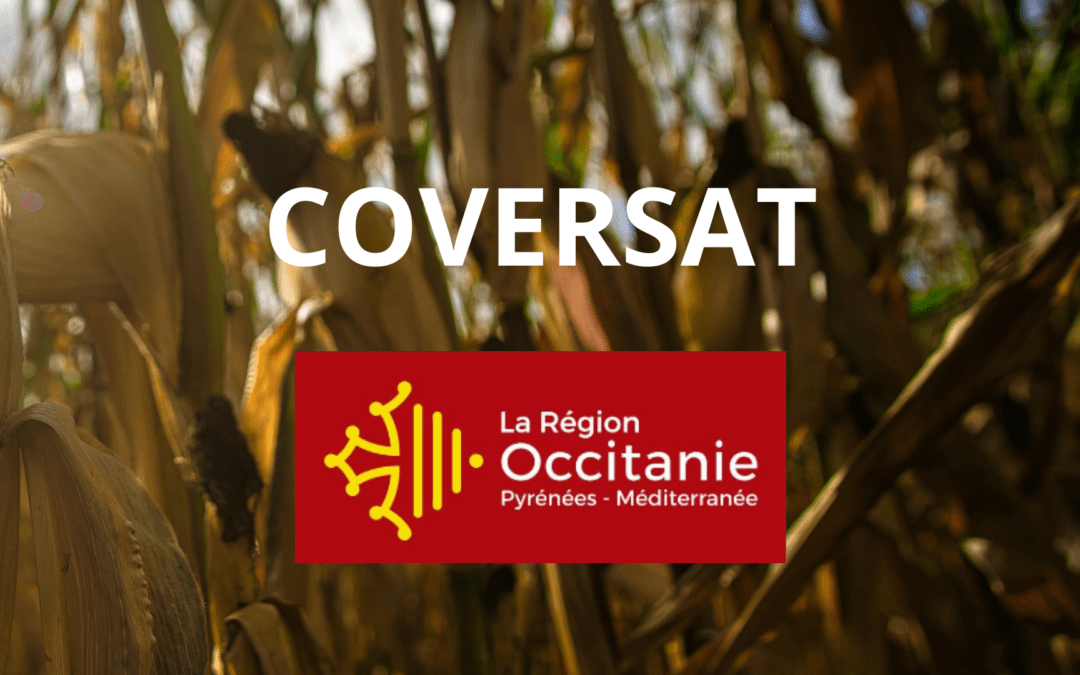 Characterization of cover crops and evaluation of their benefits