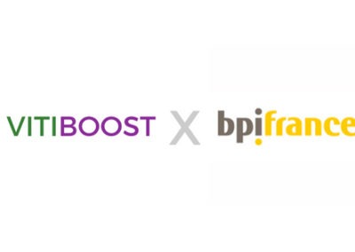 VITIBOOST