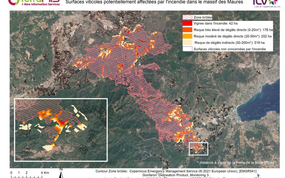 Incidence des incendies de forêt sur la vigne et recommandations de bonnes pratiques