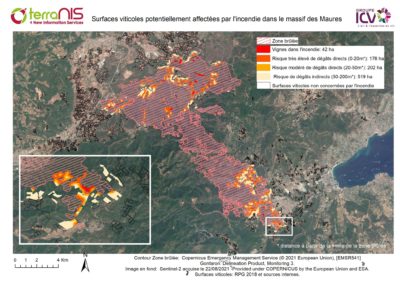 Incidence des incendies de forêt sur la vigne et recommandations de bonnes pratiques