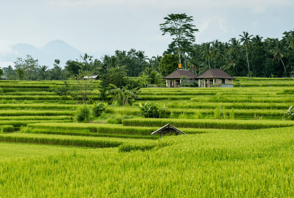 OAD pour la gestion des ressources en eau en Thaïlande