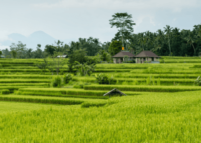 Outil d’aide à la décision pour la gestion des ressources en eau en Thaïlande