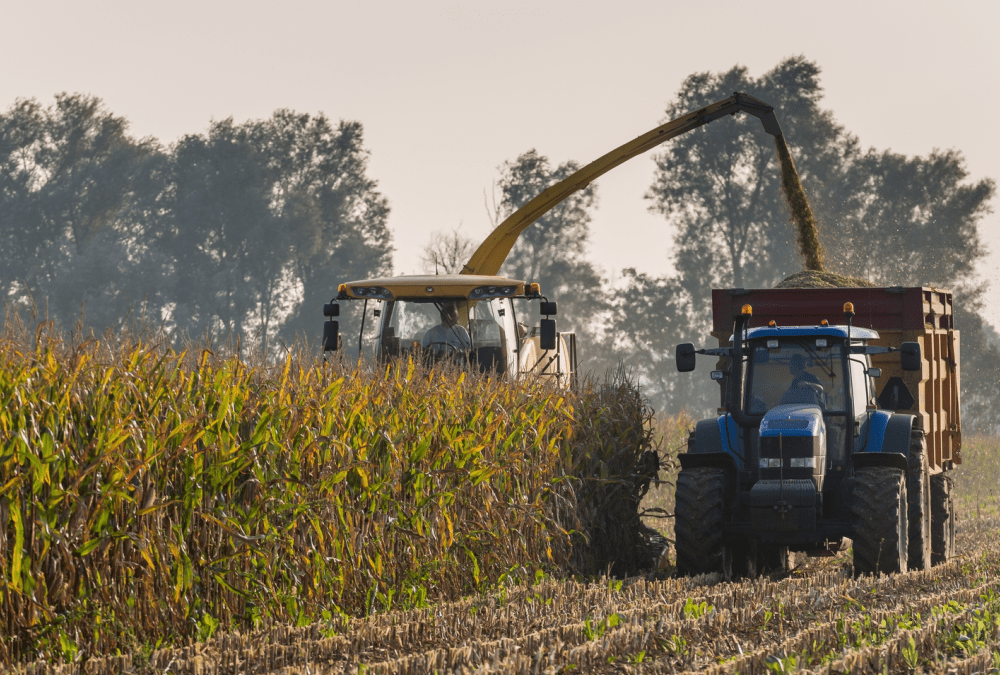 Nutriplus Sat – Estimation de la date de récolte du maïs ensilage