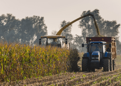 Estimation de la date de récolte du maïs ensilage pour le compte de Mas Seeds